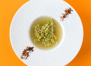 Caldo vegetariano