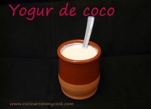 Yogur de coco