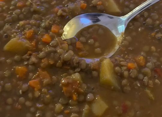 Lentejas caseras veganas
