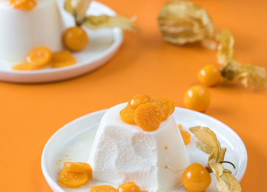 Pannacotta de yogur y miel