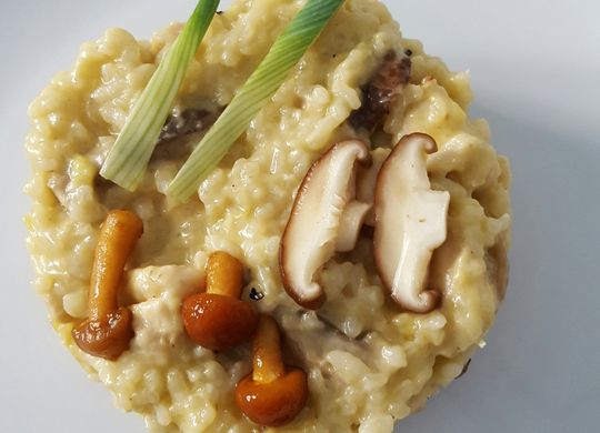 Risotto de pollo y setas