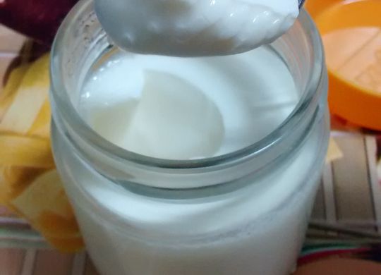Yogur natural casero