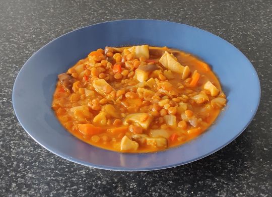 Lentejas de bote con verduras (rápido, sano y rico) | Robot de cocina Mycook