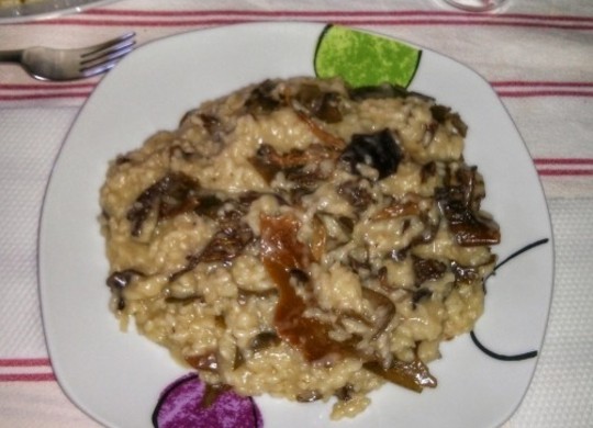 Risotto de setas y algas | Robot de cocina Mycook